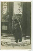 St Johns Road No 16 Bear outside door | Margate History